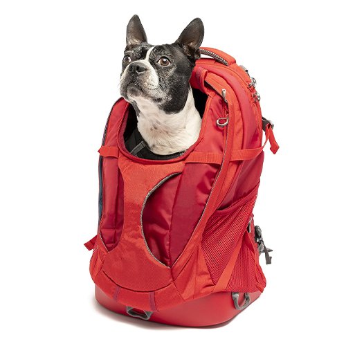 Lightweight and Tough Dog Backpack with Airline TSA Approved