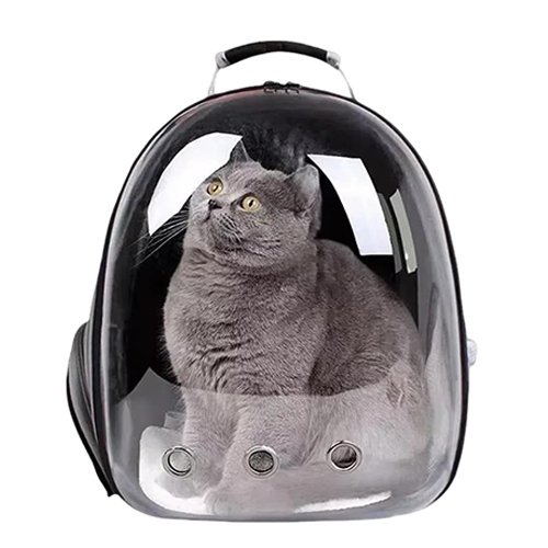 Multi Use Portable Cat Backpack for Camping, Hiking