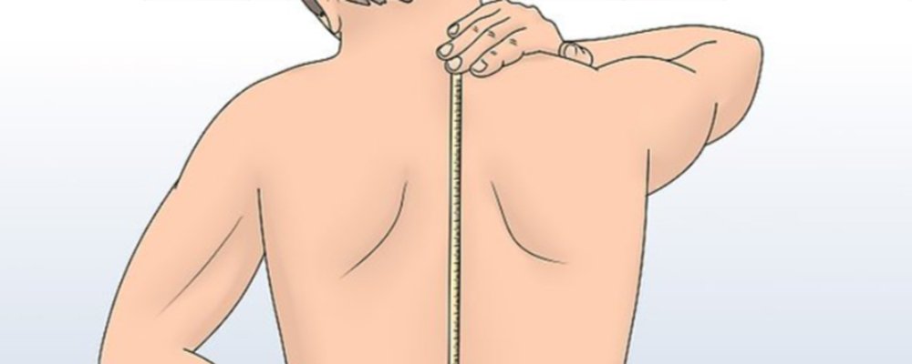 the step of measure the back length