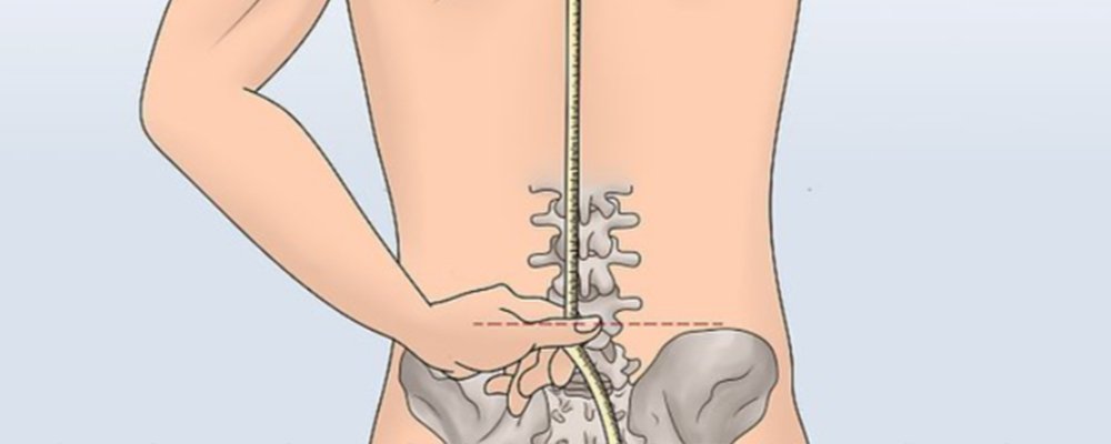 the steps of measure the back length